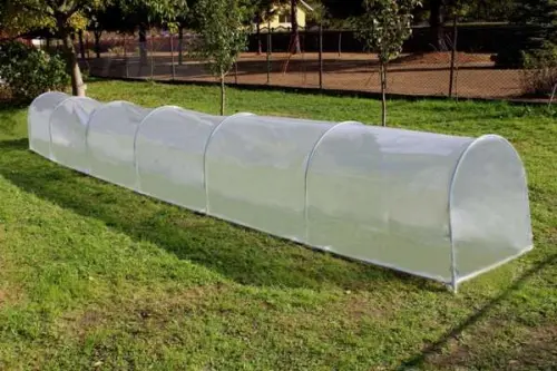 Serre per orto: caratteristiche e materiali