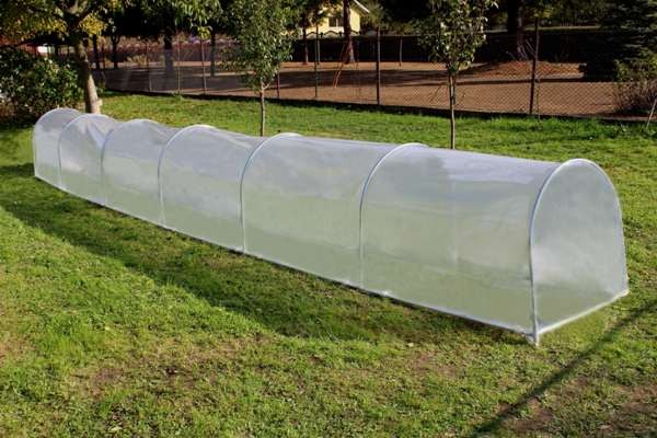 Serre per orto: caratteristiche e materiali