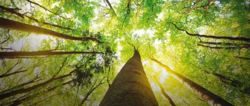 Come potersi prendere cura dell'ambiente e guadagnare in Salute