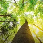 Come potersi prendere cura dell'ambiente e guadagnare in Salute